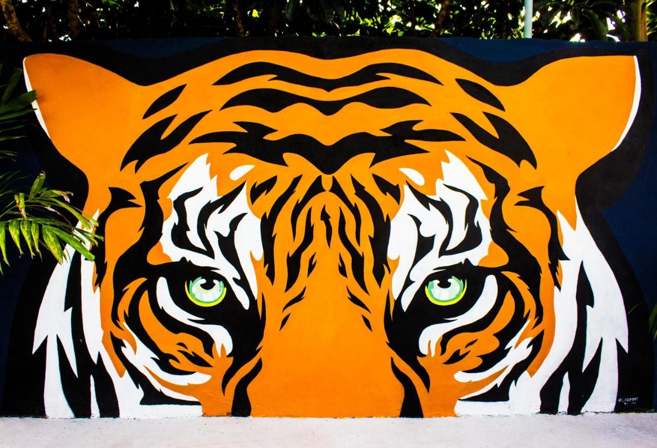 El Tigre De Santiago Hostel Merida Exterior photo